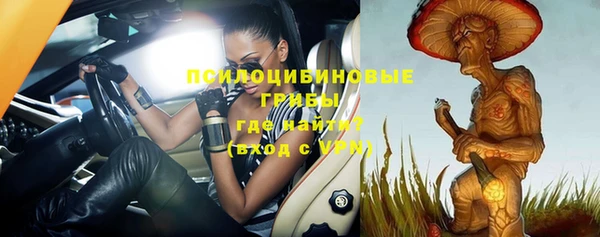 стаф Заволжье