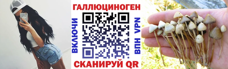 Галлюциногенные грибы Magic Shrooms  Купить где  Благодарный 